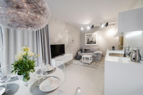 Apartament Gray